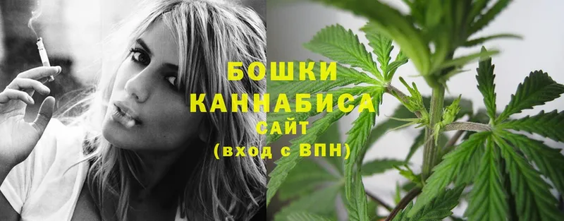 Шишки марихуана OG Kush  блэк спрут вход  нарко площадка какой сайт  Новосибирск 